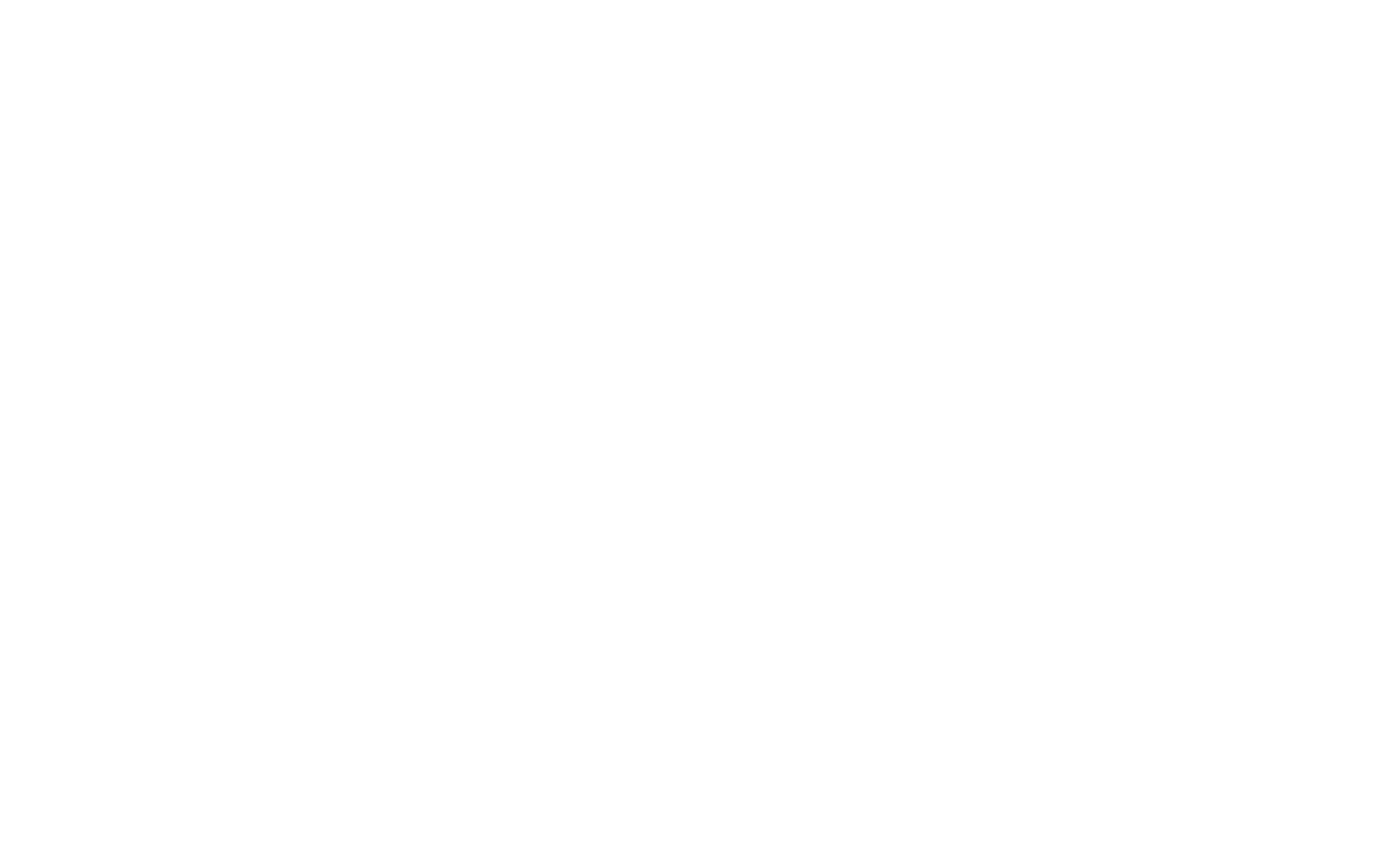 navarro